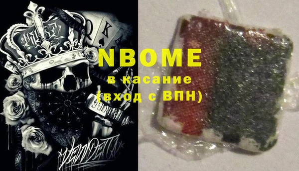 стафф Бородино