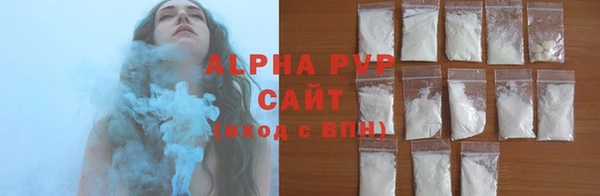 стафф Бородино