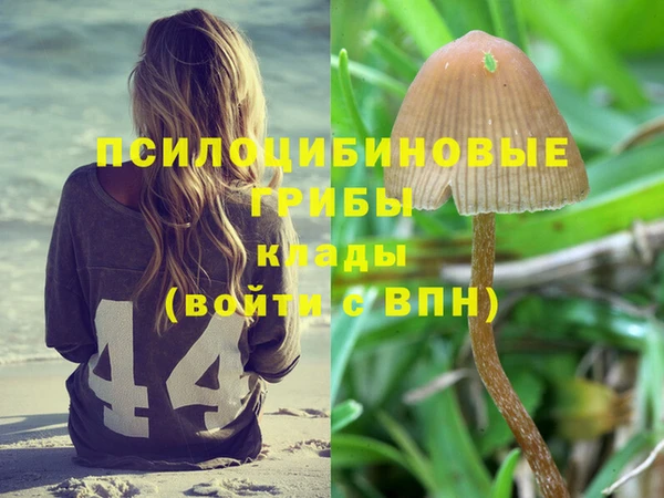 стафф Бородино