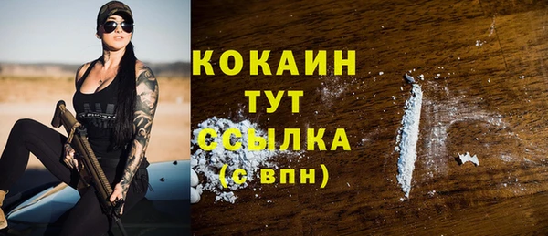 стафф Бородино