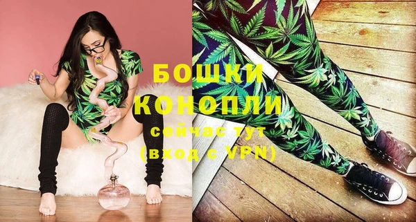 стафф Бородино