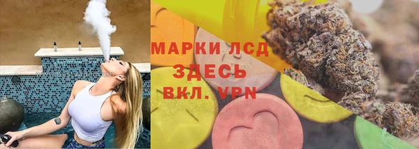 прущие грибы Струнино