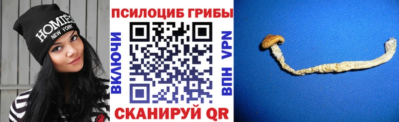 Псилоцибиновые грибы GOLDEN TEACHER Нерюнгри